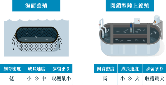 閉鎖型陸上養殖と海面養殖の違いを説明する図